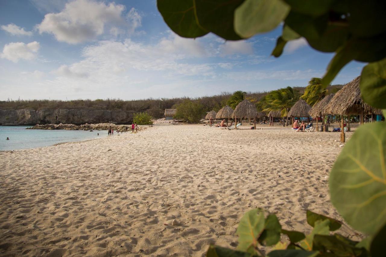 Westhill Bungalows&Diving Westpunt Buitenkant foto