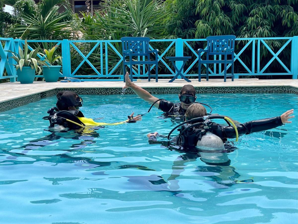 Westhill Bungalows&Diving Westpunt Buitenkant foto