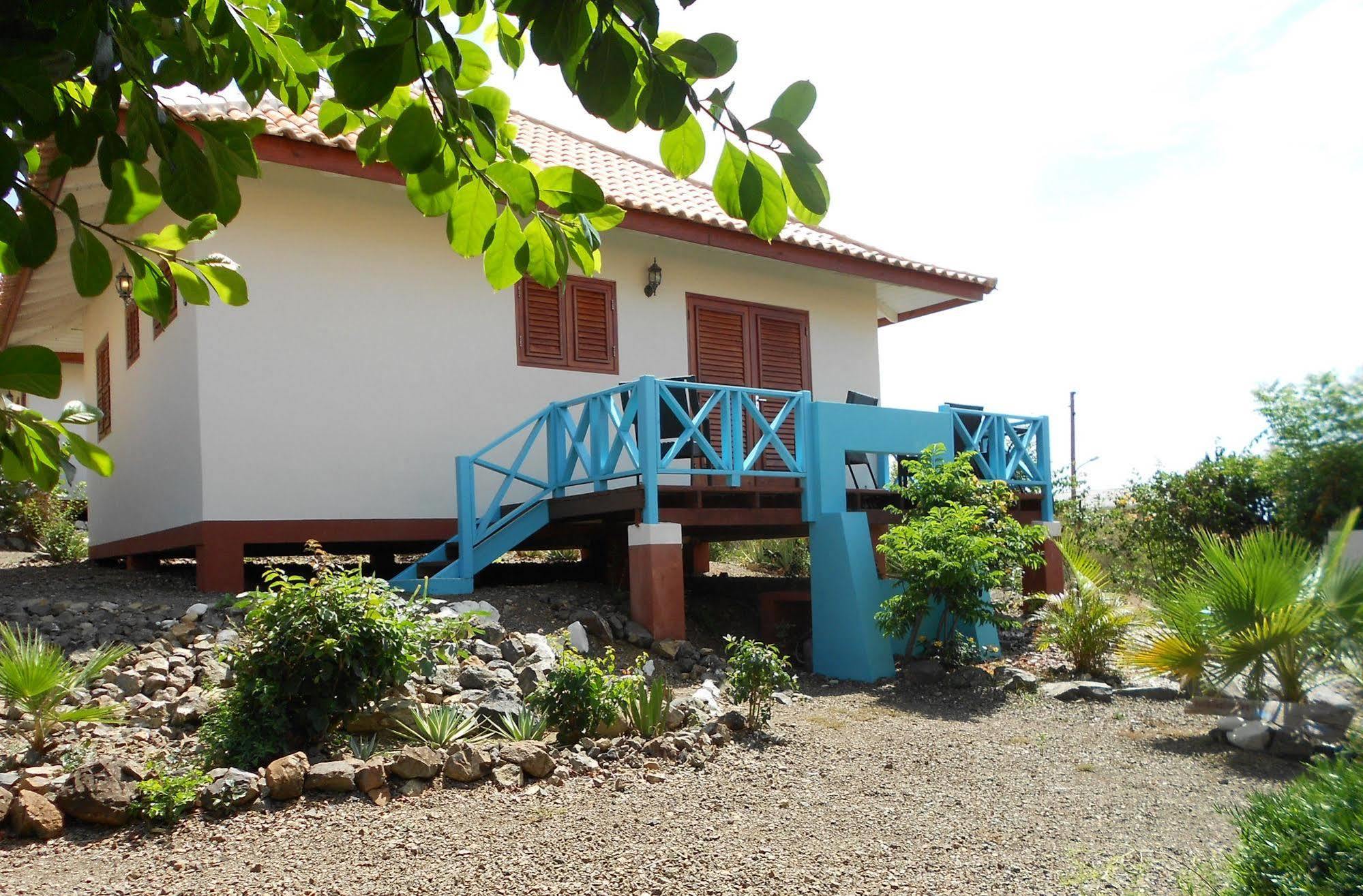 Westhill Bungalows&Diving Westpunt Buitenkant foto